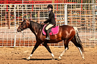 Horse Show and Sweetheart Horsemanship